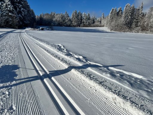 Schneebedeckte Landschaft mit Langlaufspuren und verschneiten Bäumen im Hintergrund.